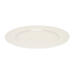 Set of 2  Accent Dinner Plate