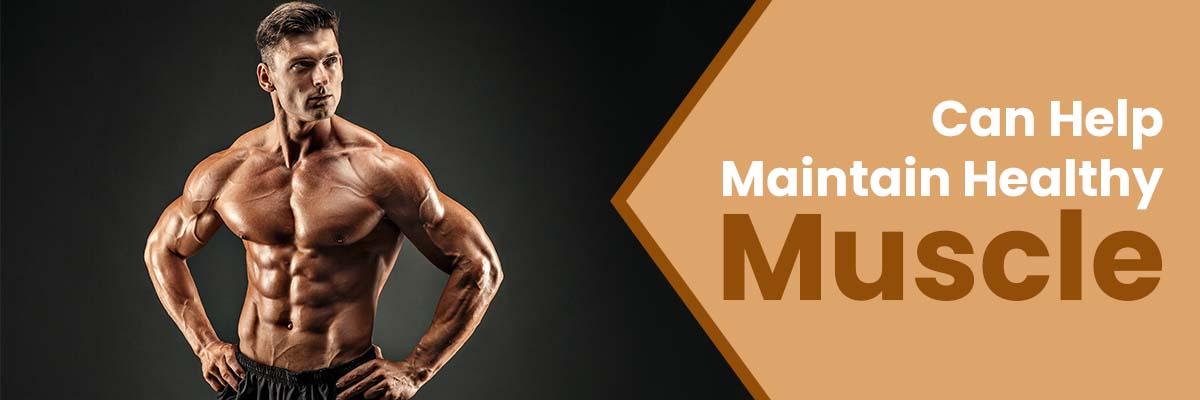 can-help-maintain-healthy-muscle